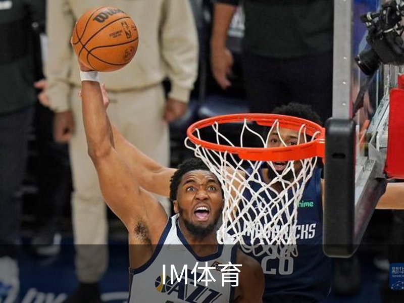 IM体育介绍